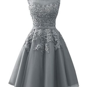 Short Homecoming Dresses Tulle Junior Prom Dress Lace Formal Evening Gowns Appliques